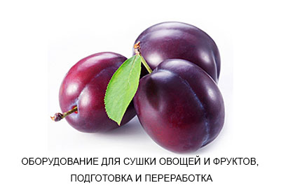 Сушилка для овощей и фруктов